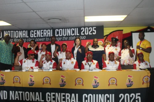 IMG 0379.JPG